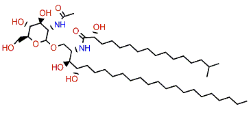 Halicylindroside B5